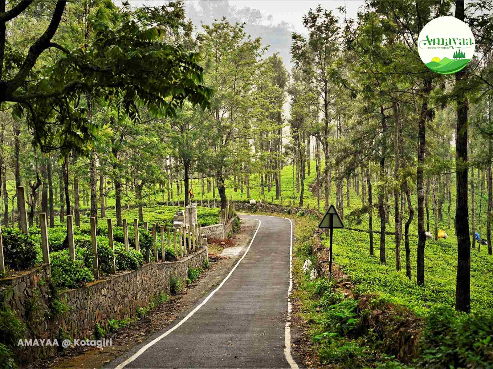 Amaya Natural Surroundings